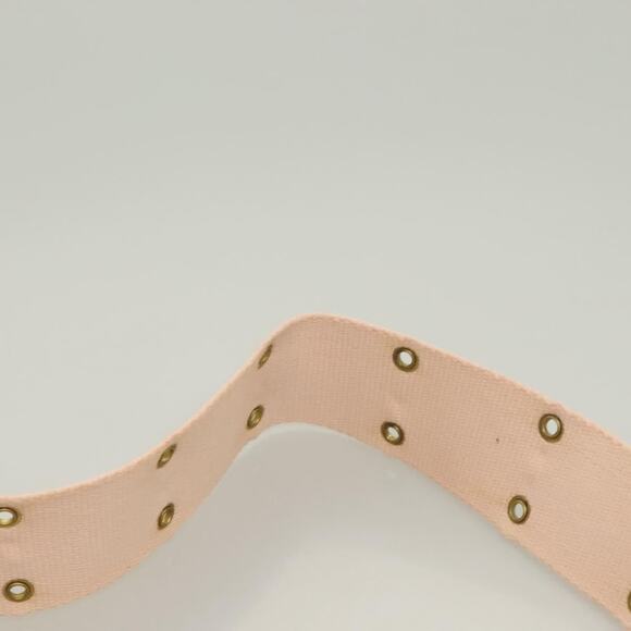 DIOR Trotter Canvas Street Chic Shoulder Bag Brown Gold - Picture 8 of 12